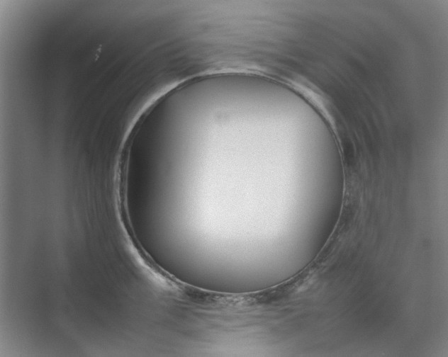 X0000074931003200609151934