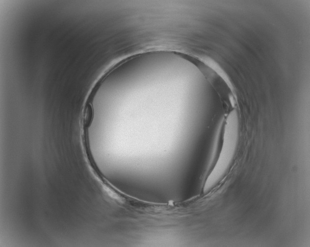 X0000074931005200609151934