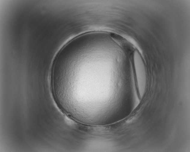 X0000074931007200609151934