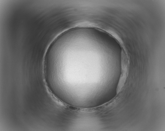 X0000074931008200609151934