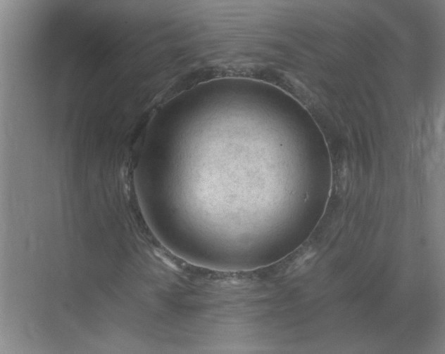 X0000074931010200609151933