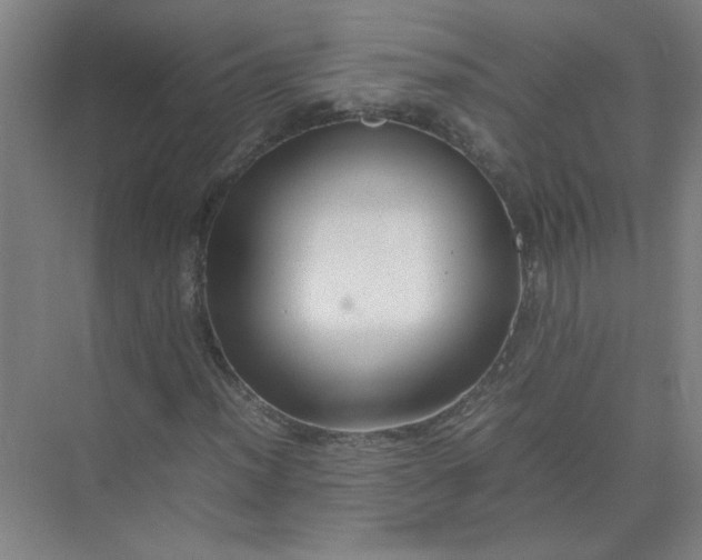 X0000074931012200609151933