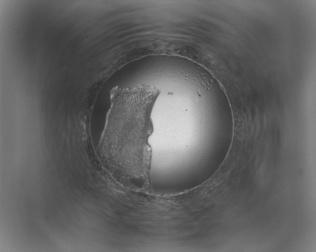 X0000074931013200609151933