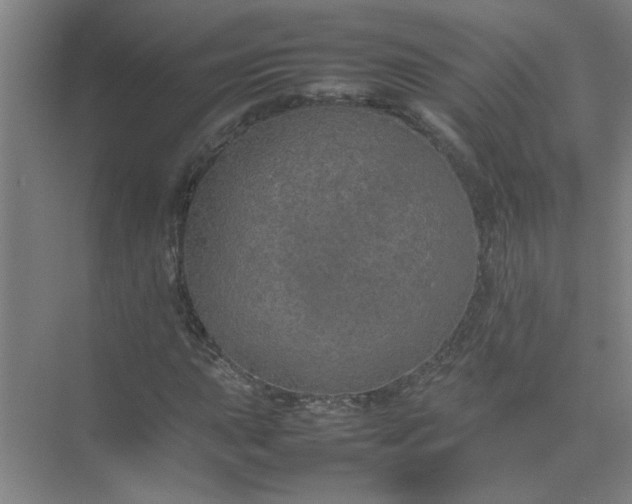 X0000074931015200609151933