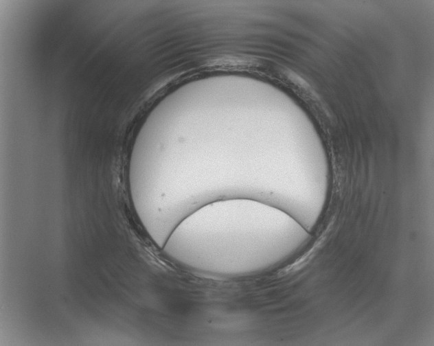 X0000074931017200609151933