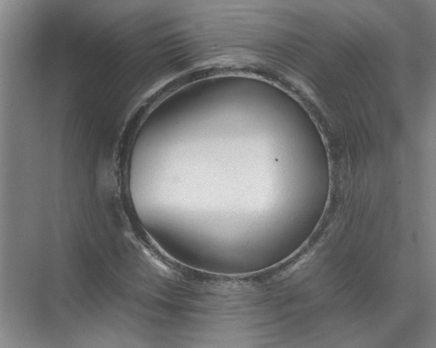 X0000074931018200609151933