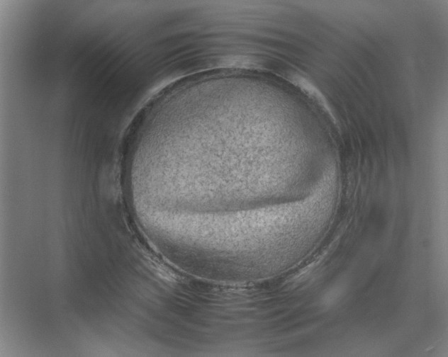 X0000074931019200609151933