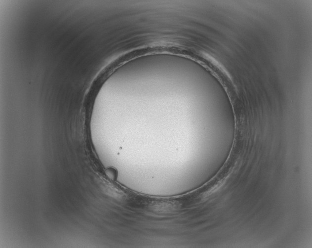 X0000074931021200609151933