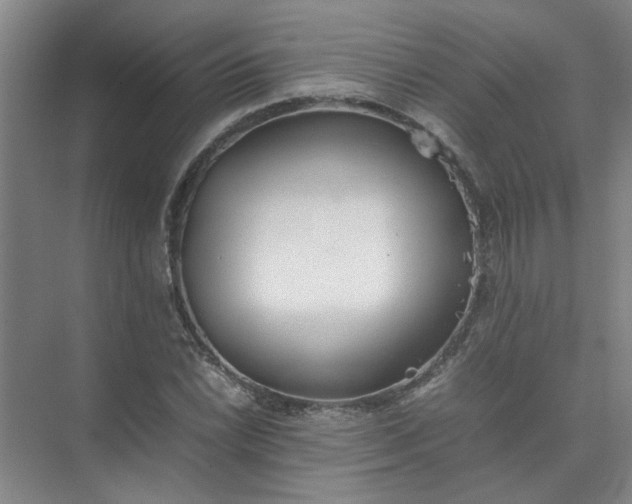 X0000074931022200609151933