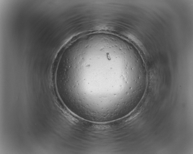 X0000074931023200609151933