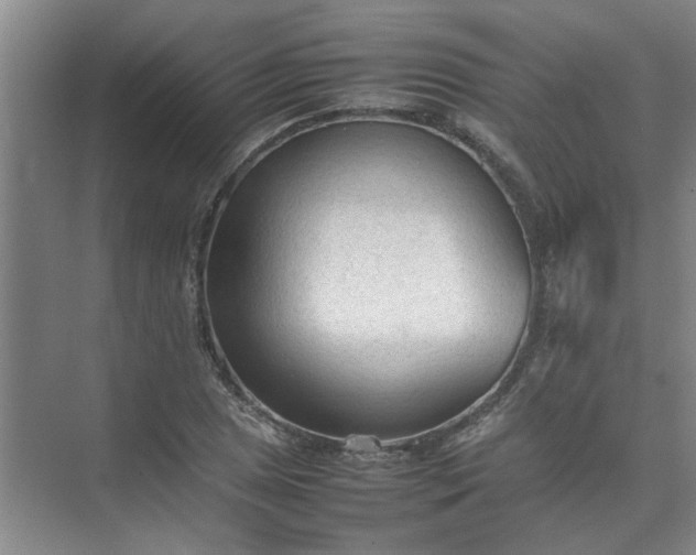 X0000074931025200609151933