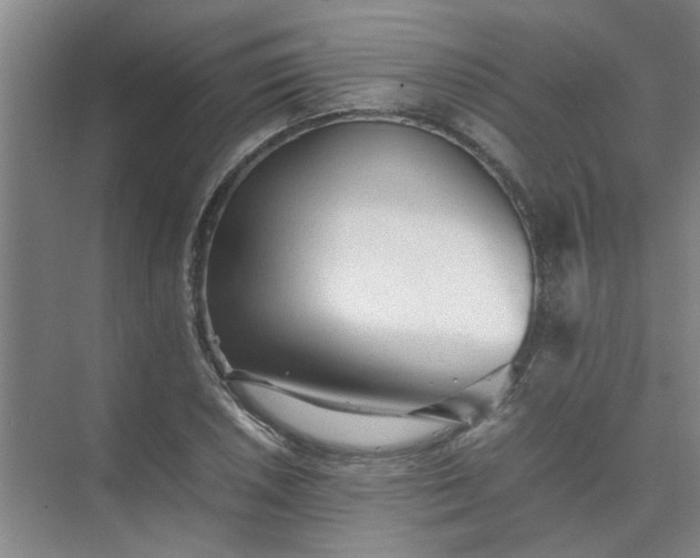 X0000074931026200609151933