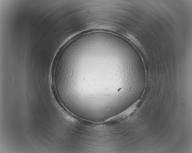 X0000074931028200609151933