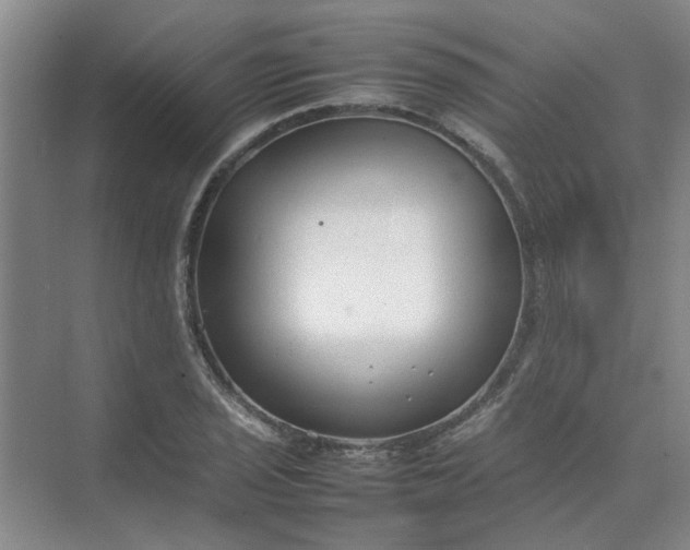 X0000074931029200609151933