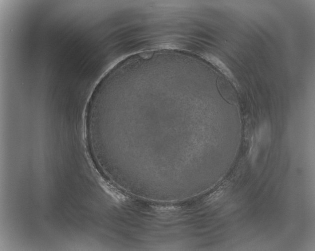 X0000074931031200609151933