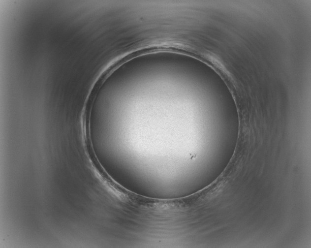 X0000074931032200609151933