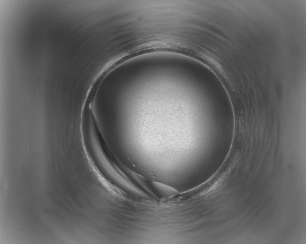 X0000074931034200609151933