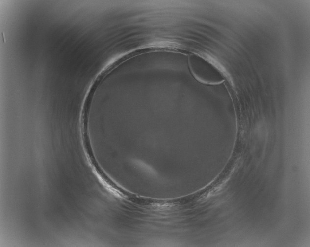 X0000074931037200609151933