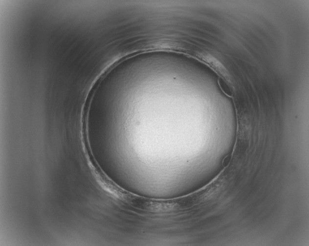 X0000074931039200609151933