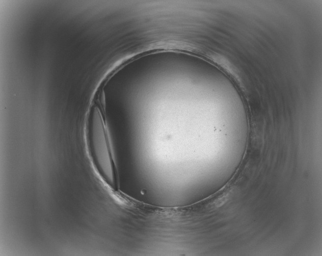 X0000074931040200609151933