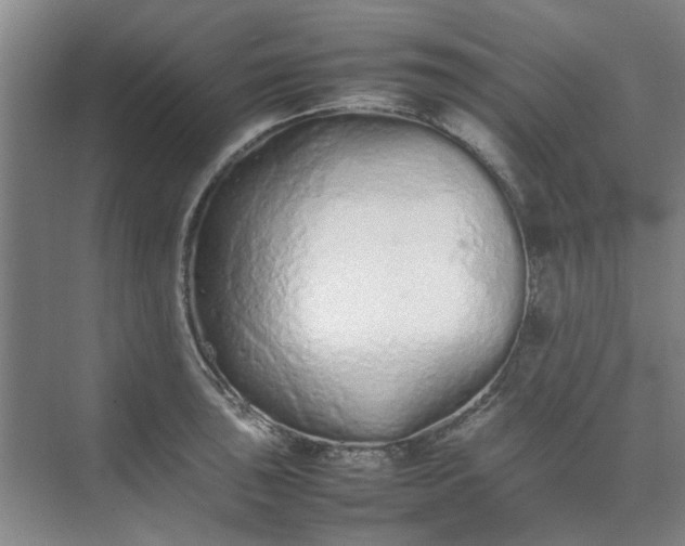 X0000074931043200609151934