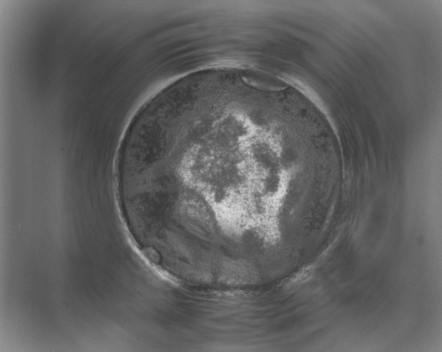 X0000074931045200609151934