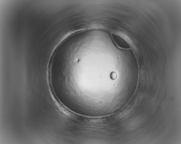 X0000074931047200609151934