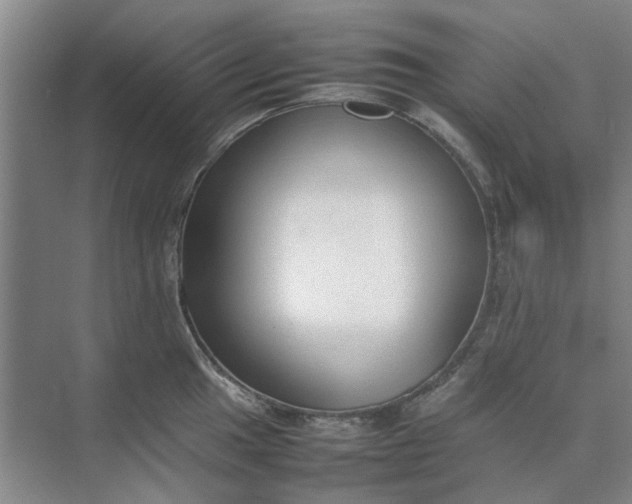 X0000074931049200609151934