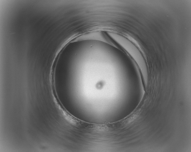 X0000074931050200609151934