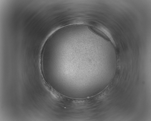 X0000074931051200609151934