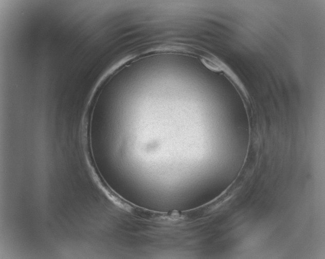 X0000074931053200609151934