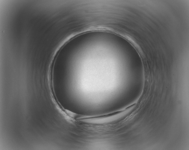 X0000074931054200609151934