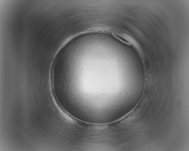 X0000074931055200609151934