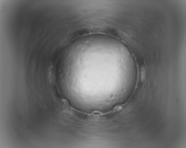 X0000074931059200609151933