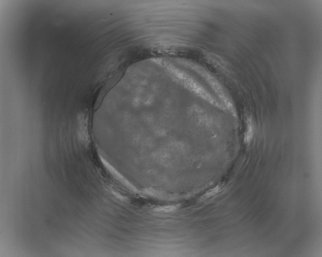 X0000074931060200609151933