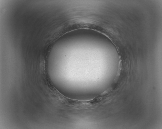 X0000074931061200609151933