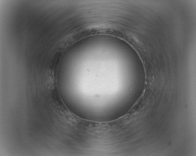 X0000074931062200609151933