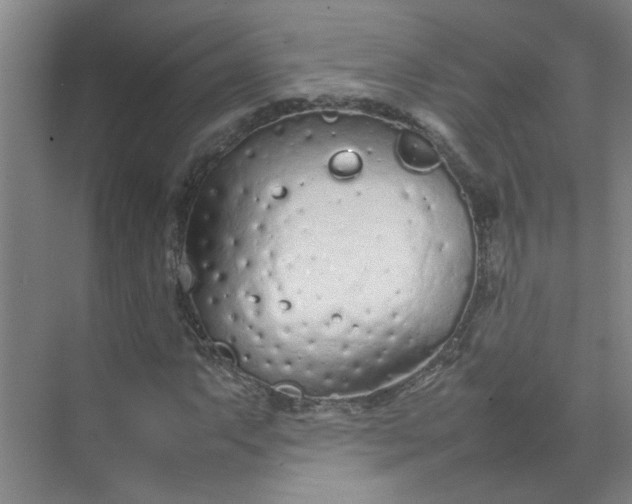 X0000074931063200609151933