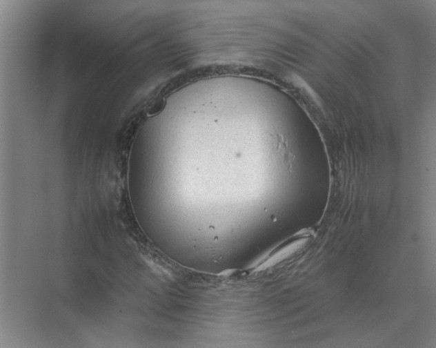 X0000074931064200609151933