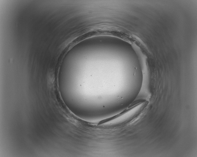 X0000074931065200609151933