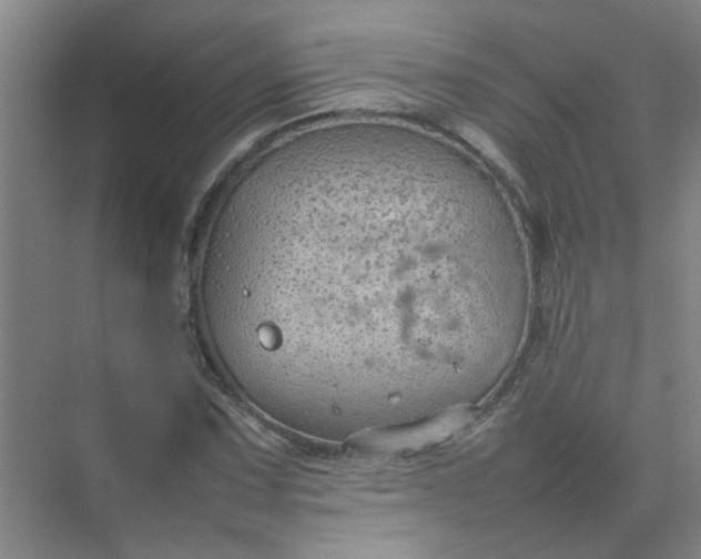 X0000074931067200609151933