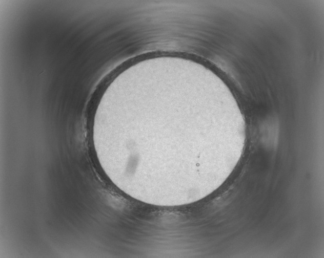 X0000074931070200609151933