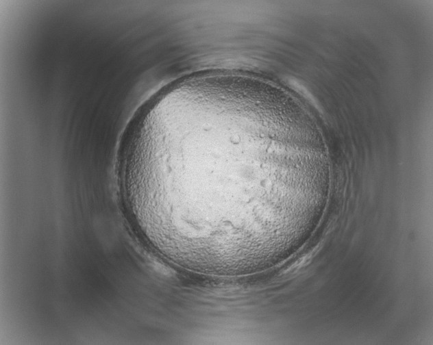 X0000074931071200609151933