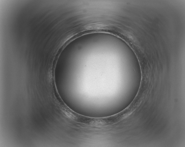 X0000074931073200609151933