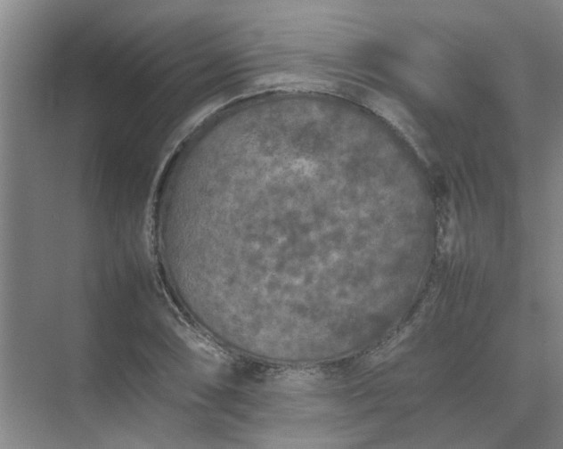 X0000074931074200609151933