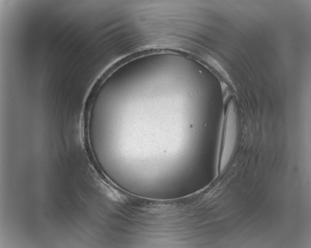 X0000074931076200609151933