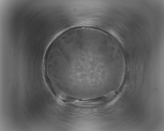 X0000074931077200609151933