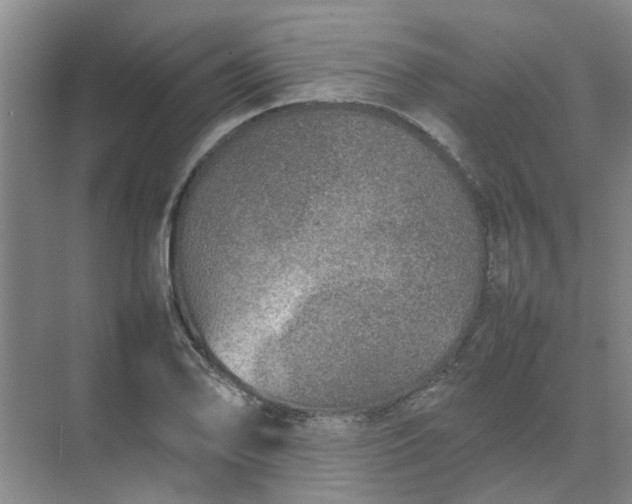 X0000074931078200609151933