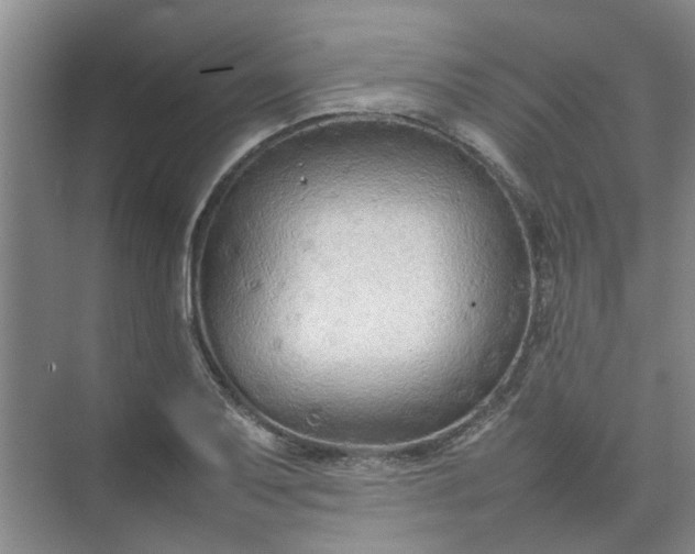 X0000074931079200609151933