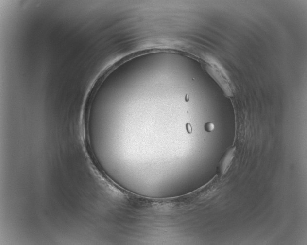 X0000074931080200609151933